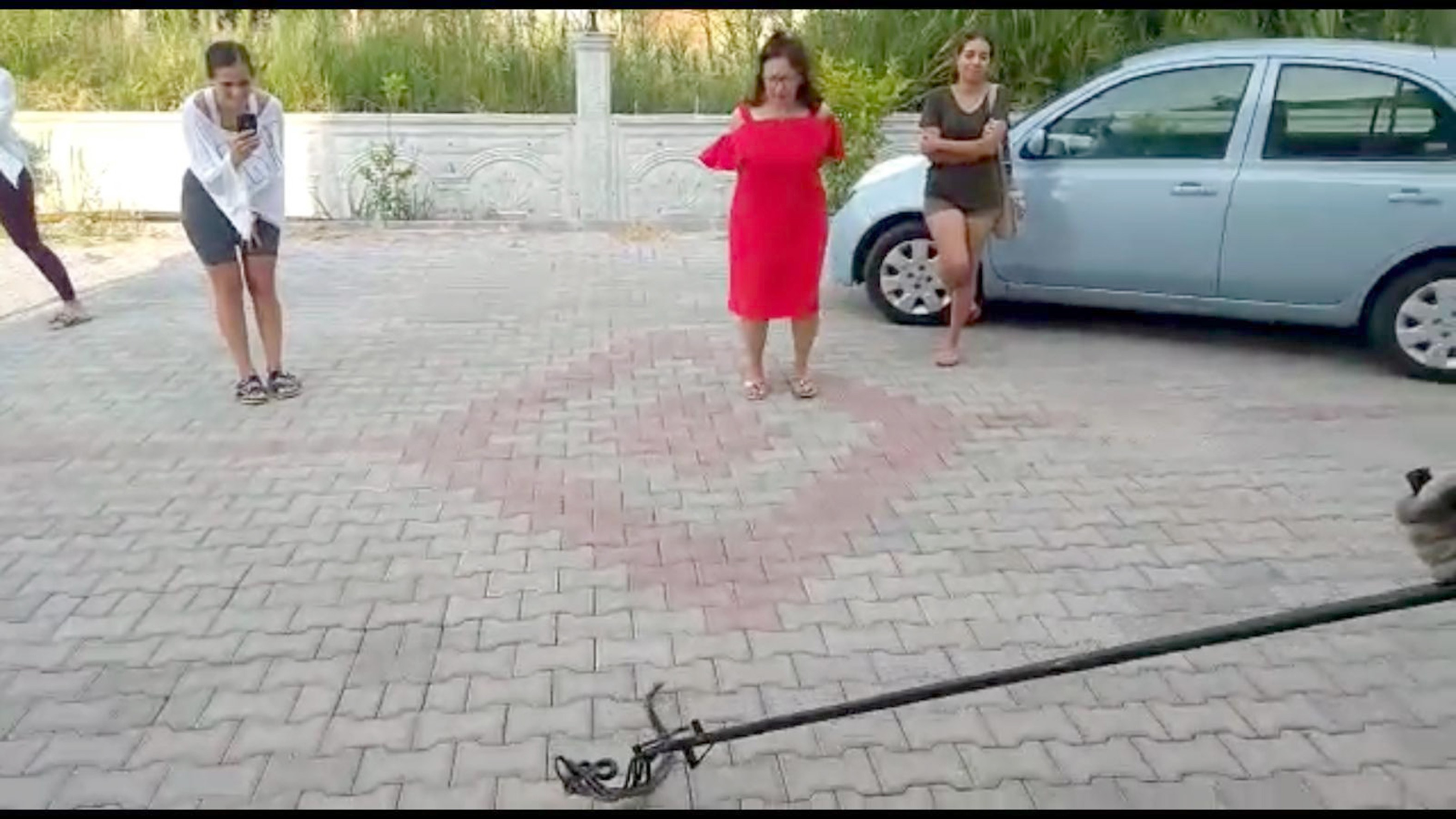 Diyet Merkezinde Yılan Yakalama Operasyonu&nbsp;&nbsp;