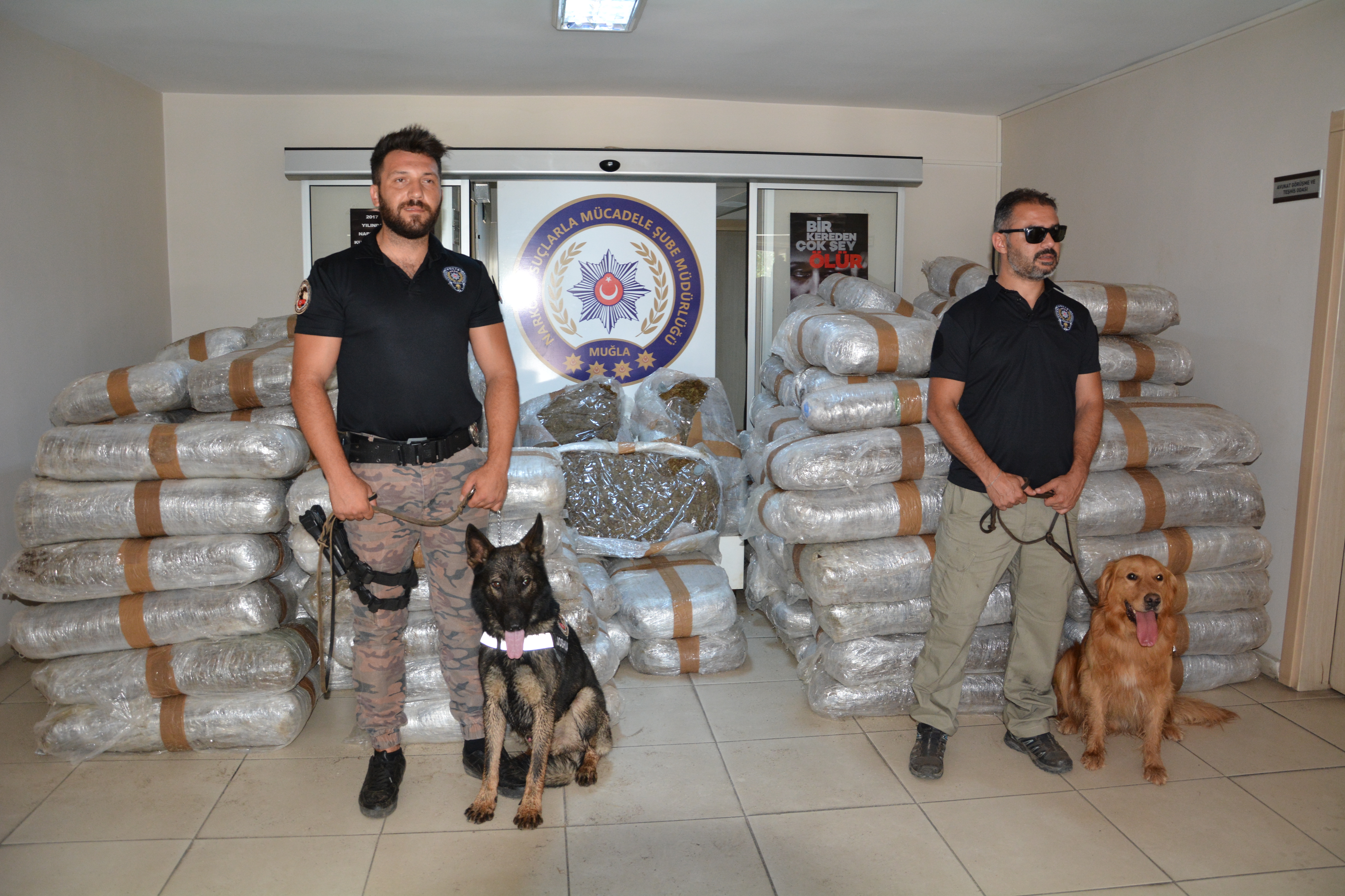 MUĞLA'DA DEV UYUŞTURUCU OPERASYONU