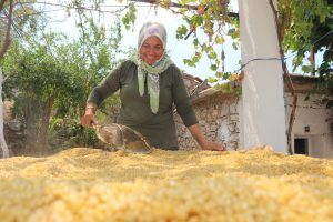150 Yıllık Taş Değirmenden Bulgur Yapıyor