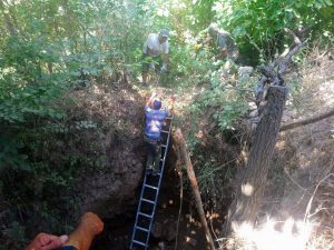 Kör Kuyuya Düşen Domuzlar Uzun Uğraşlar Sonucu Kurtarıldı