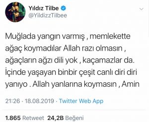Yıldız Tilbe’den Muğla’daki Orman Yangınlarına Tepki