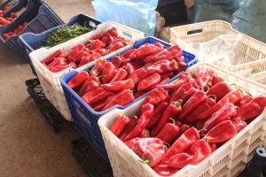 Menteşe’de Kışlık Hazırlıkları Başladı