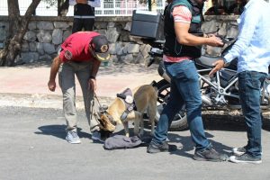 Muğla’da Narkotik Polisinden Okul Önü Denetimi