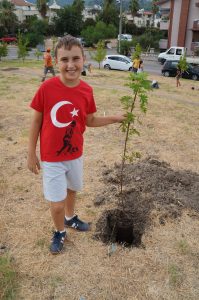 Minik Eller Fidan Dikti