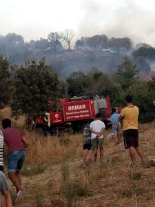 Datça’da Zirai Alanda Üç Farklı Noktada Yangın Çıktı
