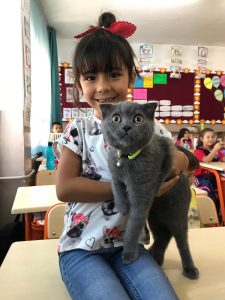 Sınıf Öğretmeninden Farkındalık Dersi