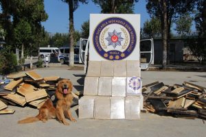 Zanlılar Adliye'ye Sevk Edildi