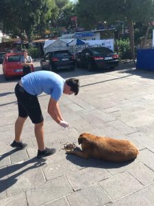 Milas Patileri Topluluğu’ndan Örnek Davranış