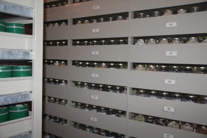 Kadın Çiftçiler Geleceğe Tohum Taşıdı