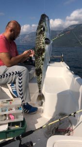 Gökova Körfezi'nde 'Canavar' Yakalandı