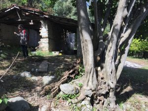 Kullanılmayan Ahır Sanat Yuvasına Dönüştü