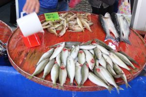 Tanesi 40 TL Olmasına Rağmen Kapış Kapış Satıldı