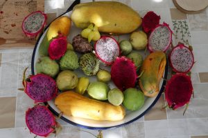 Tropikal Meyve Serası Kurdu