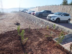 Hastane’nin Alternatif Yolu Krize Yol Açtı