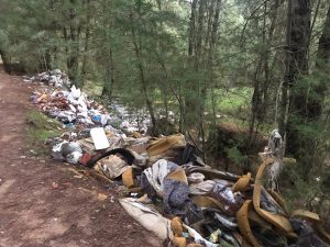 Orman Değil ‘Çöplük’