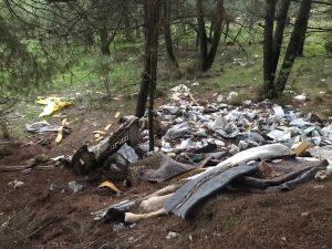 Orman Değil ‘Çöplük’