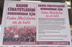 Muğla Kadın Meclis’i, Kadın Cinayetlerine Dur Dedi