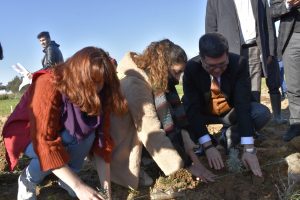 Lavantalar Toprakla Buluşmaya Devam Ediyor