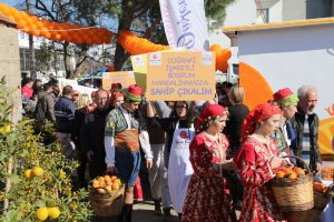 Mandalina Şenliğine Yoğun İlgi