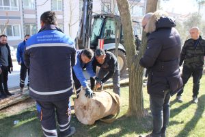 Haberimiz Üzerine Muğla Müzesi Harekete Geçti
