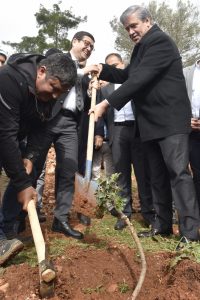 Damla Sakızı Fidanları Toprakla Buluşturuldu