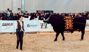 Boğacılığın Küçük Hanım Ağası