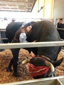 Boğacılığın Küçük Hanım Ağası