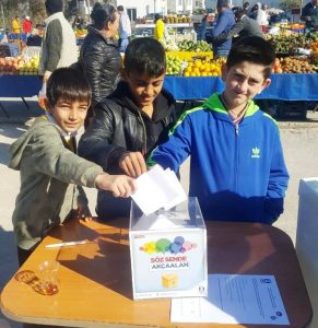 Bodrum’da 6 mahallede mini referandum yapıldı