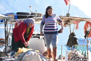 Körfezin balıkçı “eltileri”