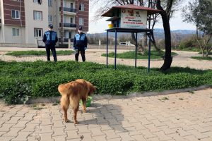 Menteşe Belediyesi sokak hayvanlarını unutmadı