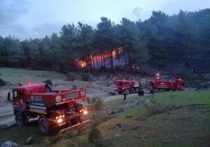 Muğla’da 33 orman yangını çıktı