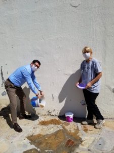 Sokağa çıkma yasağında sokak hayvanlarını unutmadılar