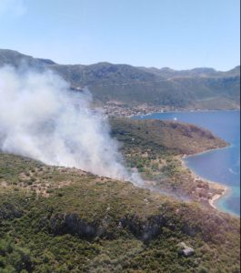 Marmaris makilik alanda yangın