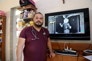 Saçmayla yaralanan sincap tedaviye alındı