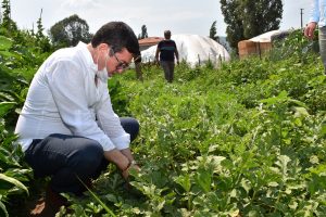 İl Müdürü Saylak, üreticilerle buluştu