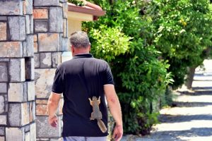 Yavru sincap ailenin bir üyesi oldu