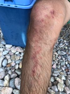 Tatilciler sahile kum bekliyor