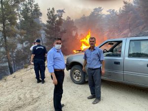 20 hektarlık alan zarar gördü