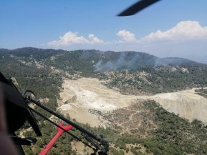 20 hektarlık alan zarar gördü