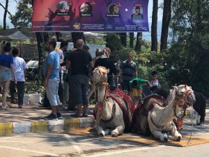 Akyaka’da festival fiyaskosu