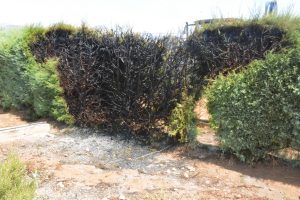 Elektrik direğinden çıkan yangın korkuttu