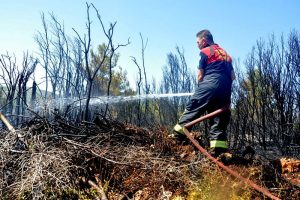 Tarım alanında çıkan yangın ormana sıçradı