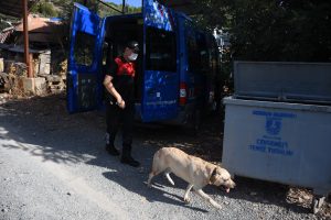Kafatası bulunan alanda arama yapıldı