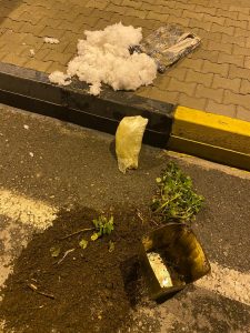 Çiçek saksısında esrar yakalandı