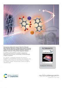 Bilim dünyasına katkı sağlayacak proje