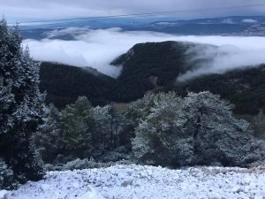 Muğla’ya yılın ilk karı düştü