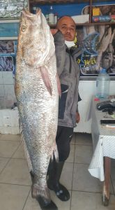 Boyu kadar balık yakaladı