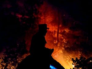 KARDAŞLARLA YEŞİL VATAN SAVUNMASI