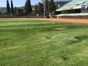 Muğlaspor'a stadyum şoku!