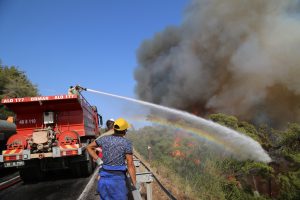 Kılıçdaroğlu, “Yangınlara karşı uluslararası bir iş birliği yapmamız lazım”